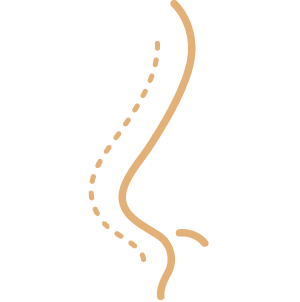 Cirugía Estética